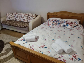 Garsoniera Emilia Câmpulung Moldovenesc
